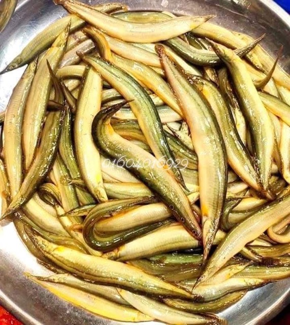 তারা বাইম